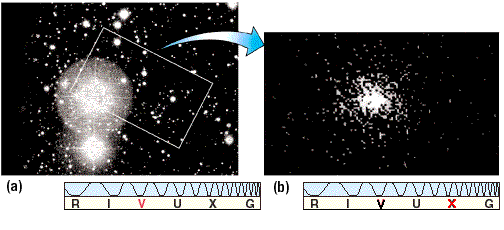 cygnus x 1 hubble